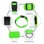 Essential LED Collar for Safe Walks on Dark Days | GlowDog - Pet Store ED