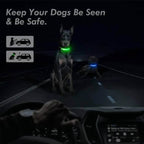 Essential LED Collar for Safe Walks on Dark Days | GlowDog - Pet Store ED