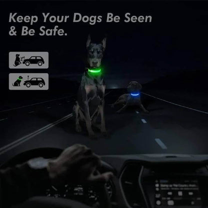 Two dogs glowing in the dark with their LED collars, preventing night accidents and ensuring high visibility