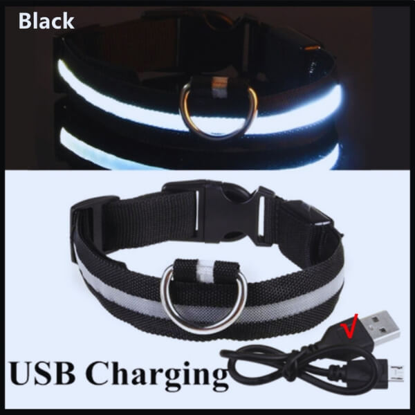 Black GlowDog collar with LED light and USB charging, perfect for night walks and pet security.