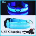 Essential LED Collar for Safe Walks on Dark Days | GlowDog - Pet Store ED