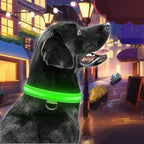 Essential LED Collar for Safe Walks on Dark Days | GlowDog - Pet Store ED