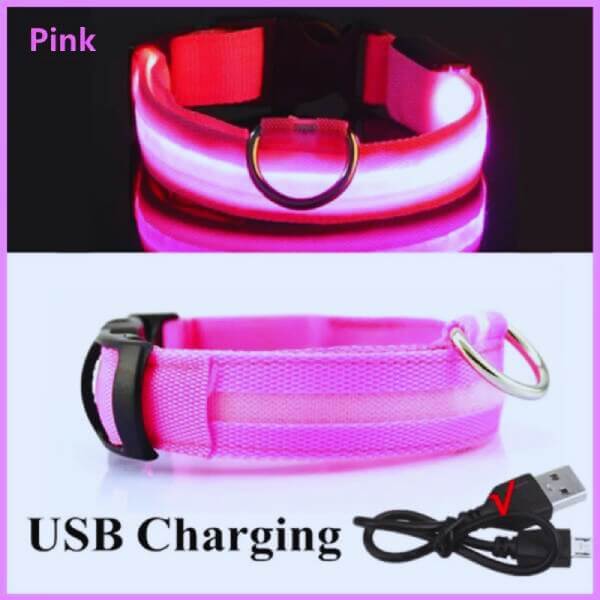 Pink GlowDog LED collar for dogs, USB rechargeable and designed for night safety.