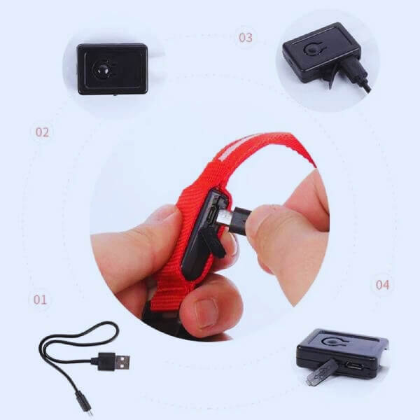 USB-charged illuminated dog collar in red, providing high visibility and security