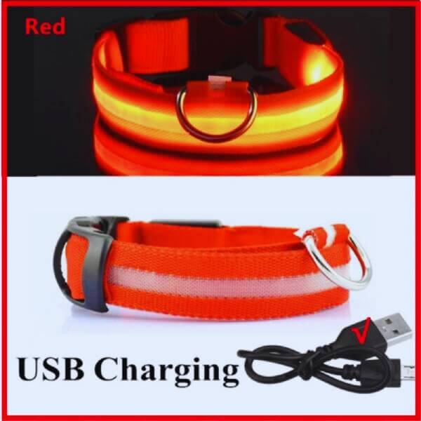 USB rechargeable red GlowDog LED collar for dogs, offering high visibility and safety