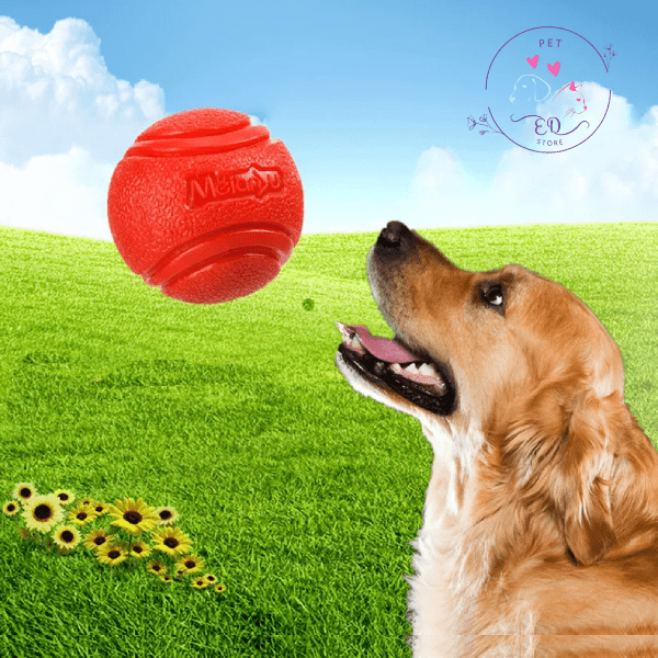 Golden Retriever looking at red Eco Chew Ball in grassy field with sunflowers