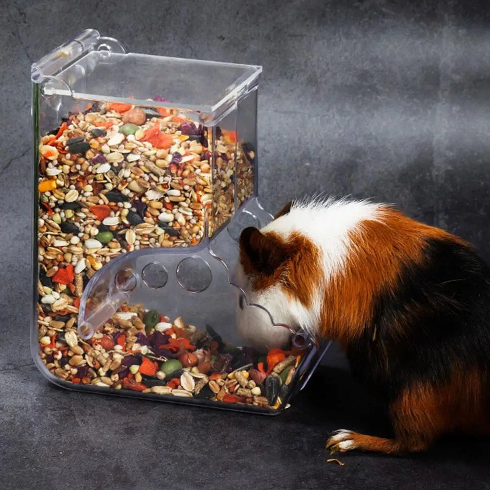 Guinea pig eating from clear plastic feeder filled with mixed pet food seeds and pellets
