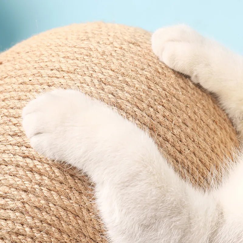 White cat paws on sisal rope scratching post with blue background
