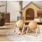 Gray cat playing with wooden sisal ball scratchers in modern pet-friendly room