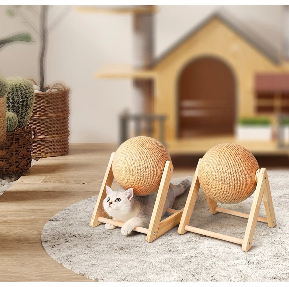 Gray cat playing with wooden sisal ball scratchers in modern pet-friendly room