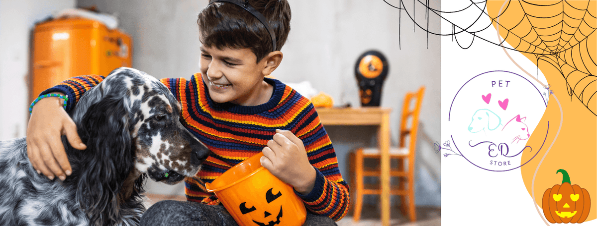 Boy and dog sharing a Halloween moment with a pumpkin bucket