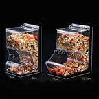 Transparent bird feeder box with seeds, clear acrylic design, labeled dimensions