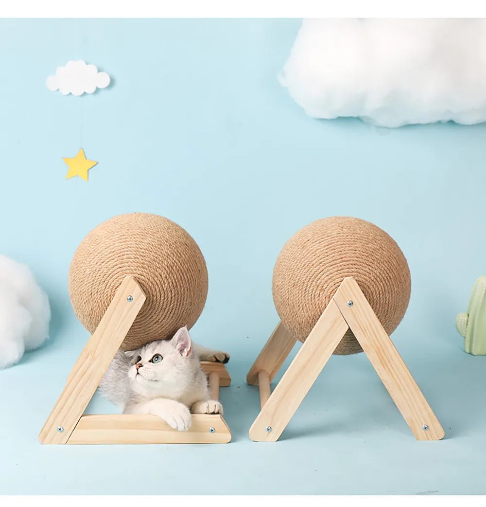 Cat lying under wooden and sisal scratching ball with playful cloud decor background