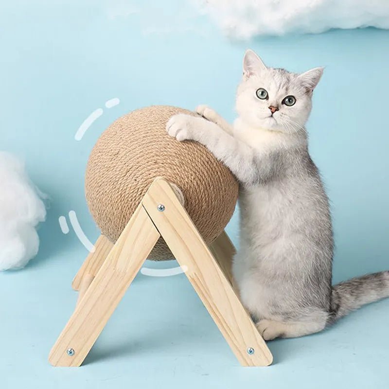 Gray cat with scratching post ball on wooden stand, blue background, pet supplies