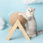 Gray cat with scratching post ball on wooden stand, blue background, pet supplies