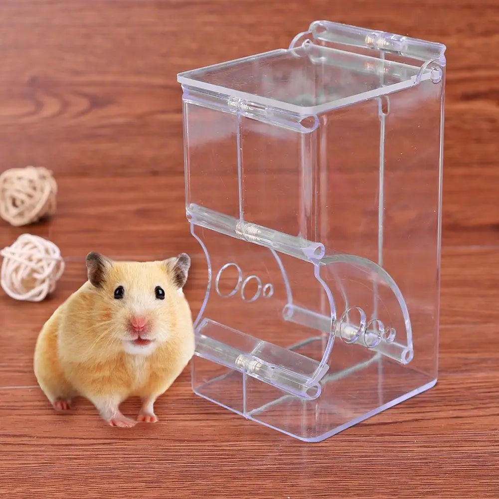 Hamster beside clear acrylic food dispenser on wooden surface, pet toy balls in background