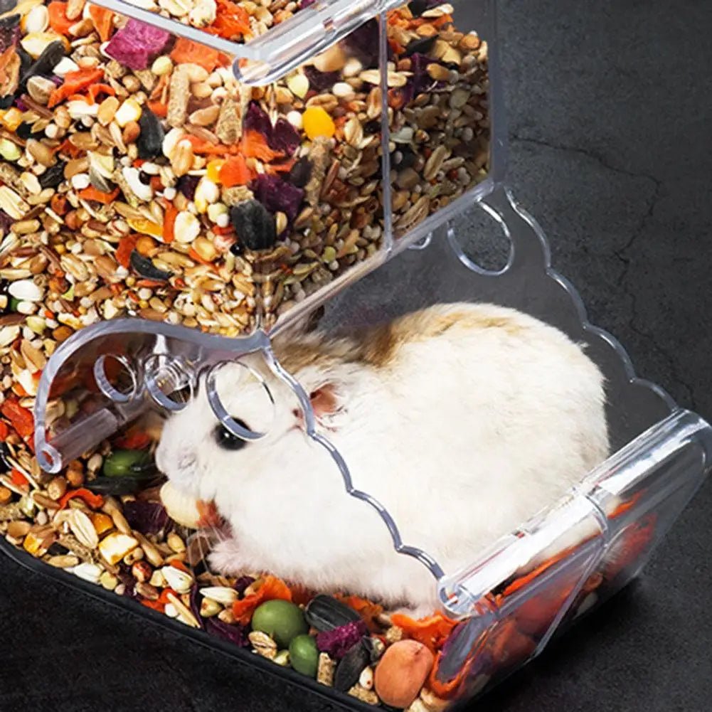 Hamster eating in clear plastic food dispenser with assorted seeds and pellets