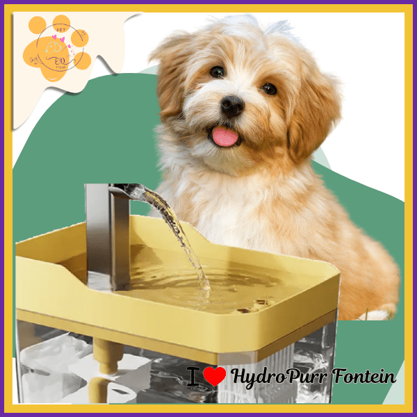 Playful puppy beside yellow HydroPurr Fontein pet water fountain, premium pet hydration