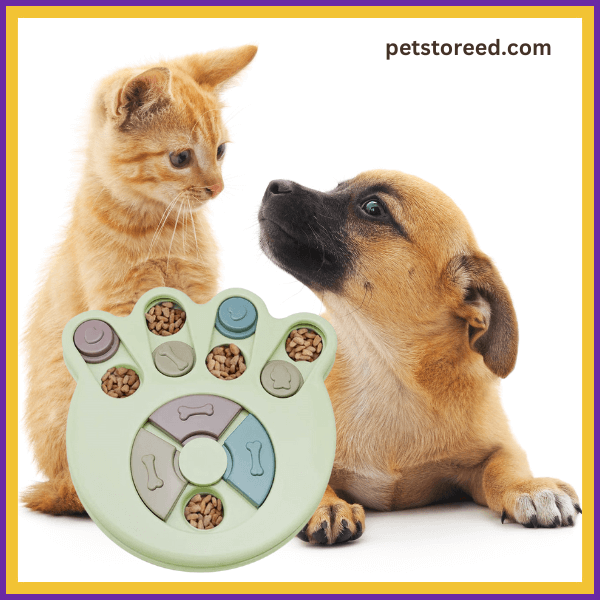 Kitten and puppy with interactive pet feeder toy, petstoreed.com in background