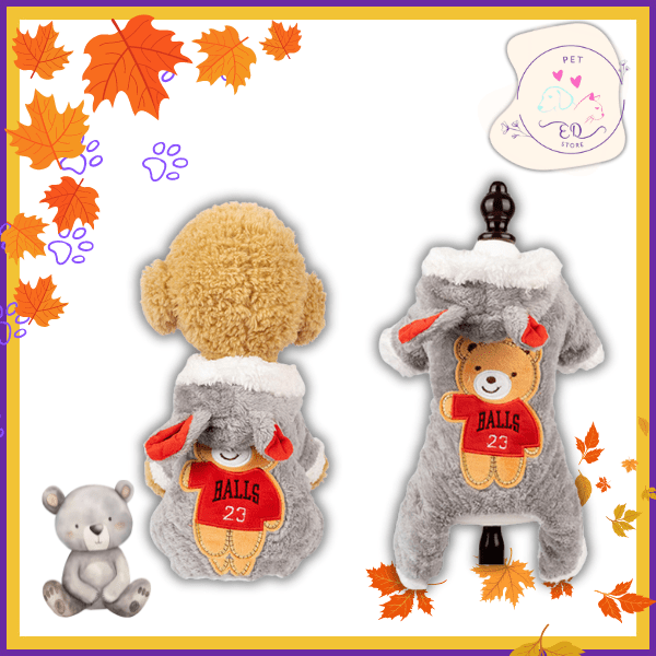 Gray teddy bear dog hoodie with 'Balls 23' patch, shown on dog and mannequin, autumn leaves