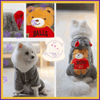 White dog wearing a gray teddy bear pet hoodie with red ear details and cartoon bear patch.