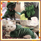 Cats in green dinosaur costume hoodies on beds and floor, cute pet apparel for cats