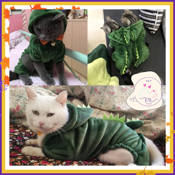 Adorable cat dressed in dinosaur-themed pet apparel, showcasing vibrant green color.