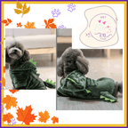 Small dog in green dragon tail costume on wood floor, autumn leaves and Pet ED Store logo