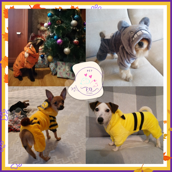 Group of dogs in assorted costumes including a tiger, bee, and dinosaur, perfect for KnuffelWarm's Halloween collection