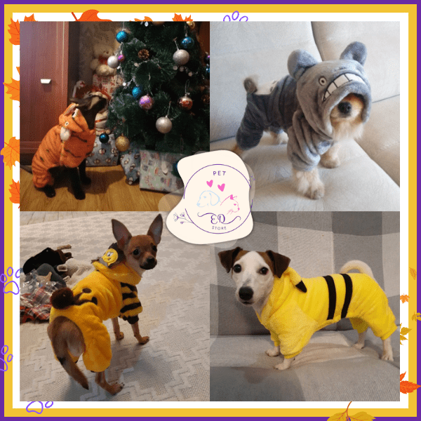 Small dogs in animal-themed pet costumes, tiger, shark, and bee outfits, collage design.