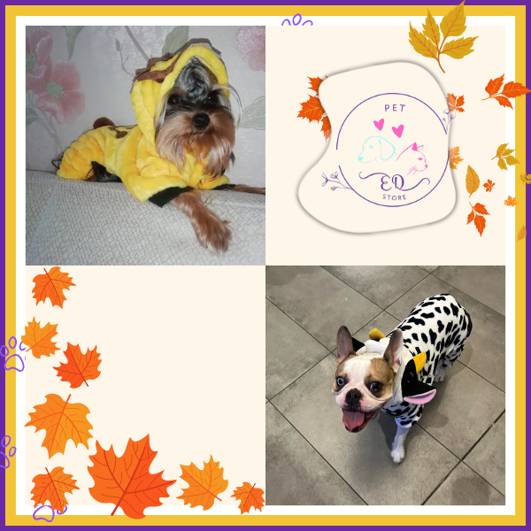 Happy dog ​​wearing a cow costume and another lion dog ready for Halloween and KnuffelWarm themed events.