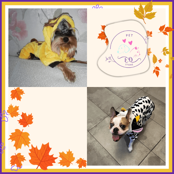Two dogs in animal costumes, autumn leaves, and Pet EQ Store logo collage.