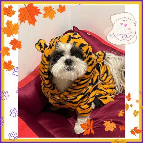 Small dog in tiger-striped hoodie on maroon cushion, autumn leaves border, pet store logo