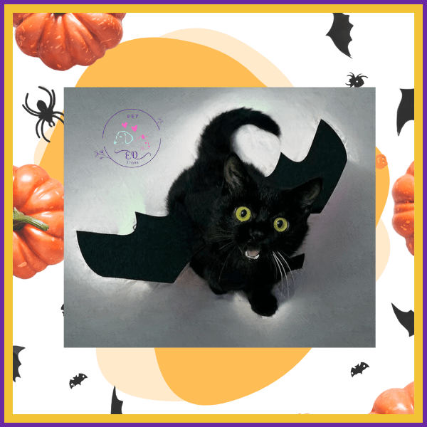Black cat in bat costume on Halloween-themed background with pumpkins and bats