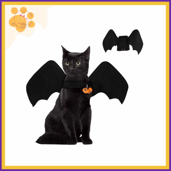 Black cat wearing bat wings costume with Halloween pumpkin charm on white background