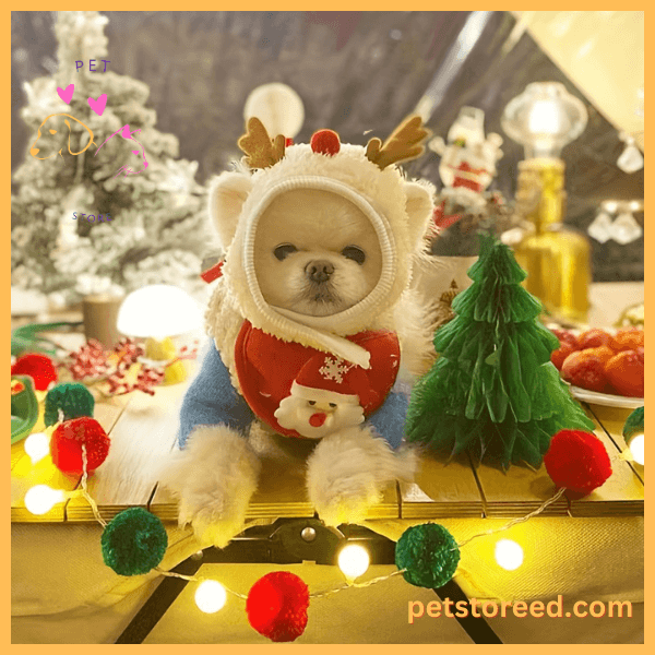Cozy Christmas scene with cute dog in reindeer outfit and glowing decorations.
