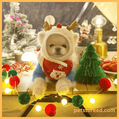 Cozy Christmas scene with cute dog in reindeer outfit and glowing decorations.