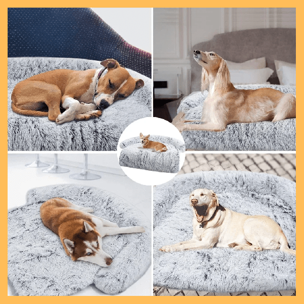 Dogs resting on a fluffy non-slip bottom dog bed in various home settings