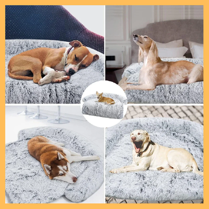 FluffBlanket:The XXL fluffy blanket for dogs and cats, ideal for all seasons.