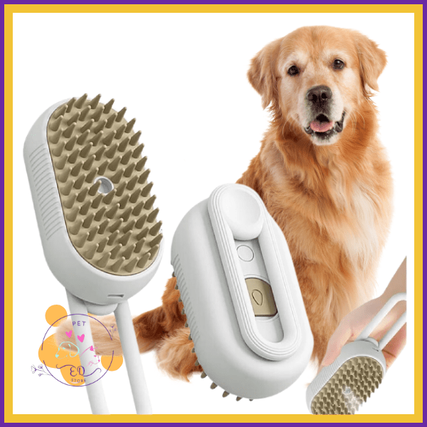 Golden retriever with a pet grooming brush for senior dog care and shedding control