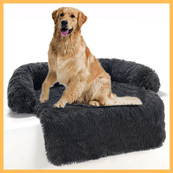 Large golden retriever sitting on a plush dark gray dog bed for big dogs