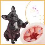 French bulldog demoing paw cleaner with soft bristles, pet store graphic background