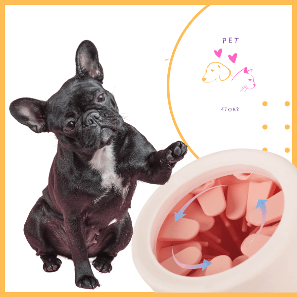 French bulldog demoing paw cleaner with soft bristles, pet store graphic background