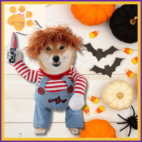 Shiba Inu puppy in Chucky costume with pumpkins, bats, candy corn, and Halloween decor