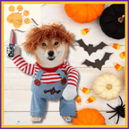Shiba Inu puppy in Chucky costume with pumpkins, bats, candy corn, and Halloween decor