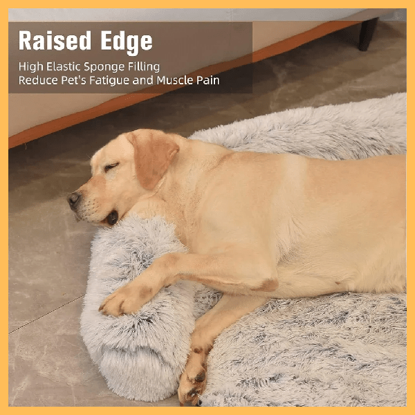 Yellow labrador sleeping on a fluffy raised edge dog bed for comfort indoors