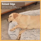 Yellow labrador sleeping on a fluffy raised edge dog bed for comfort indoors