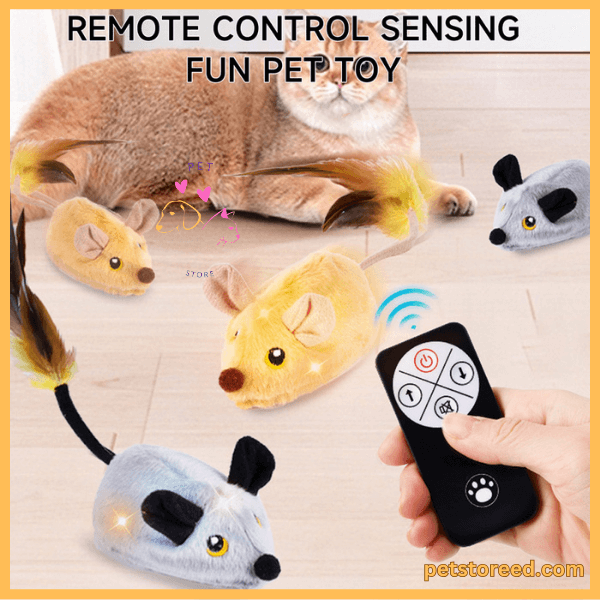 Cat plays with remote control plush mouse toy, hand holding remote on wooden floor.
