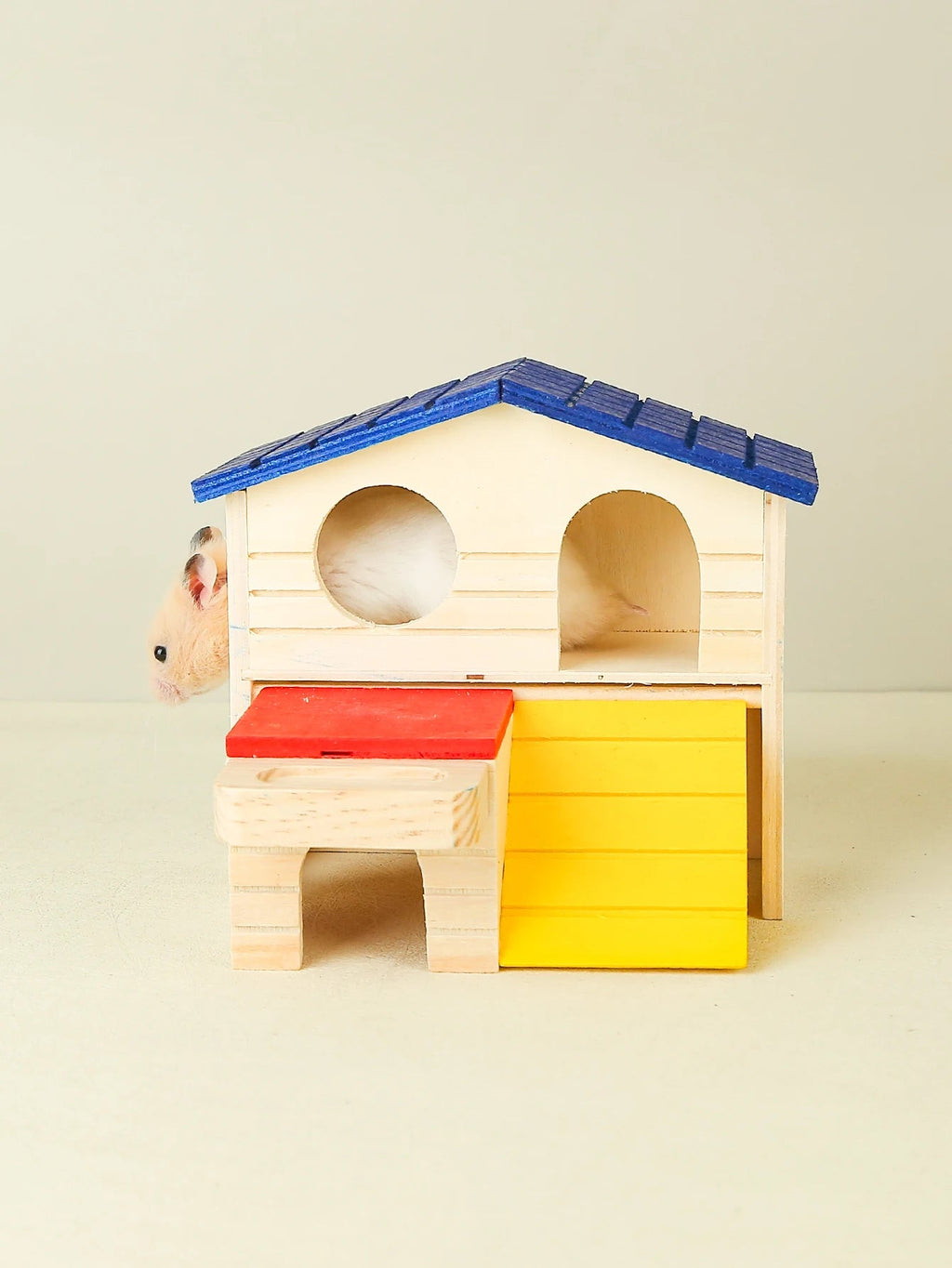 Hamster in wooden hamster house with blue roof, yellow ramp, and red platform