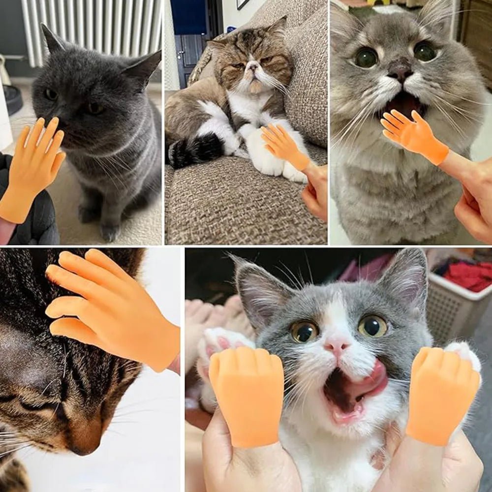 Turn Your Cat Into a Tiny Human With This Hilarious Halloween Glove - Pet Store ED